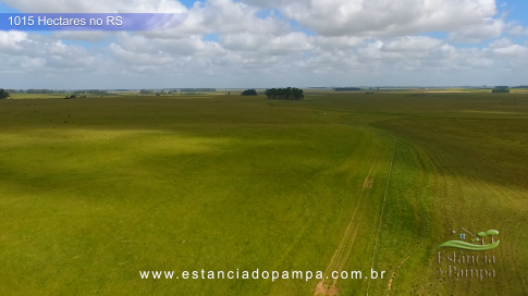 1015 HA no RS MARINETI.00_00_43_15.Quadro013_c638526867119d4ed8d78bbb0dd6e1ac7887b4aa.png